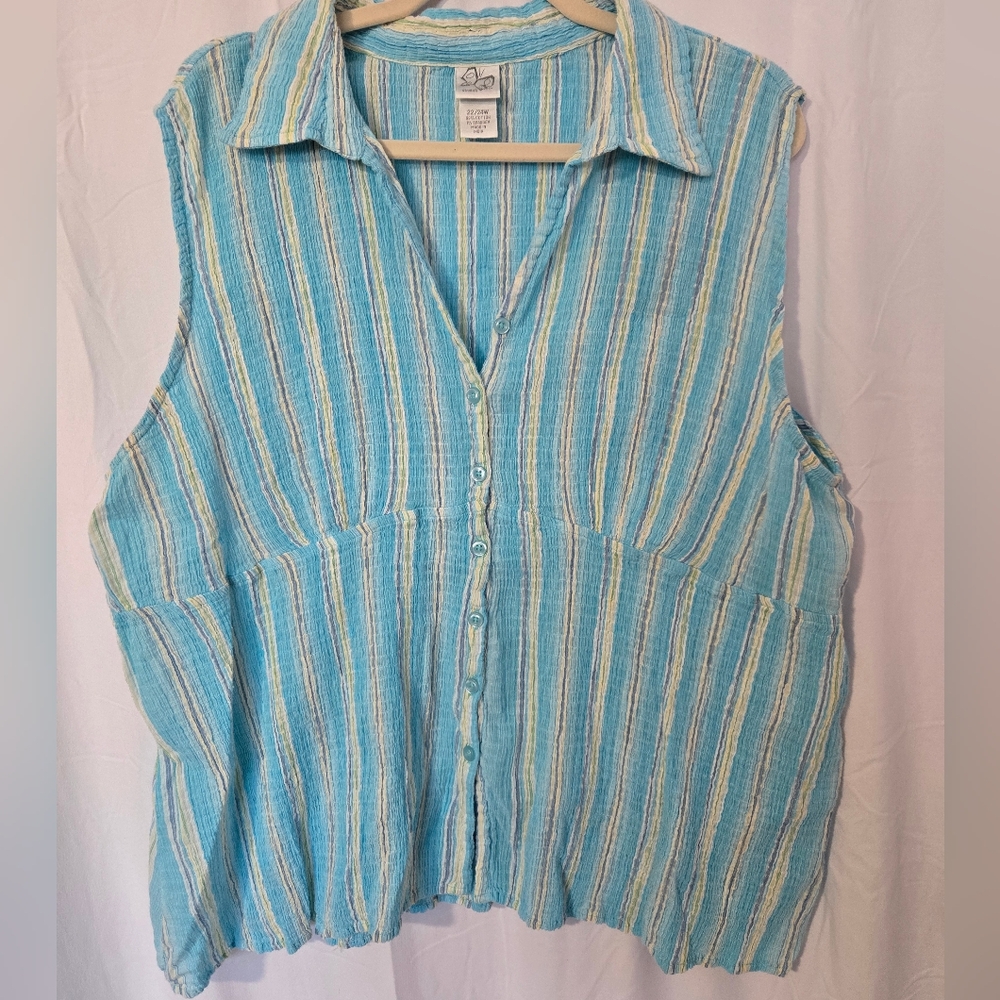 Classic Teal and White Button Down Shirt
